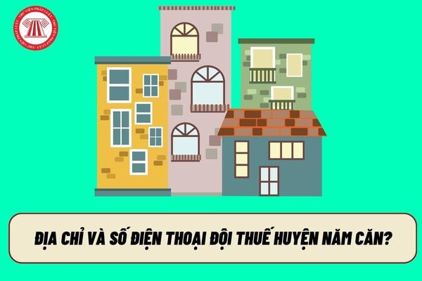 Pháp luật