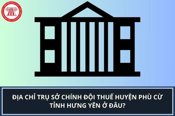Pháp luật