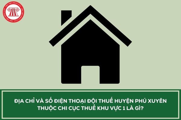 Pháp luật
