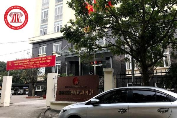 Pháp luật