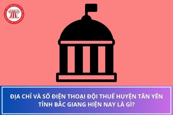 Pháp luật