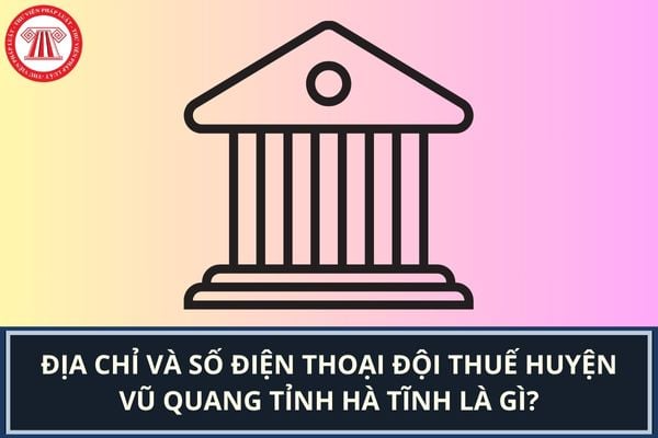 Pháp luật