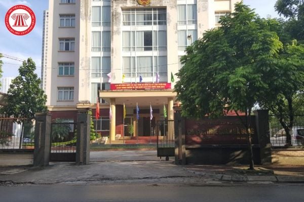 Pháp luật