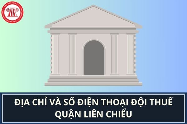 Pháp luật