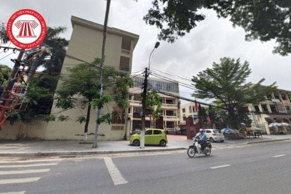Pháp luật