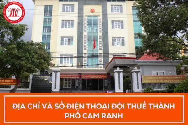 Pháp luật