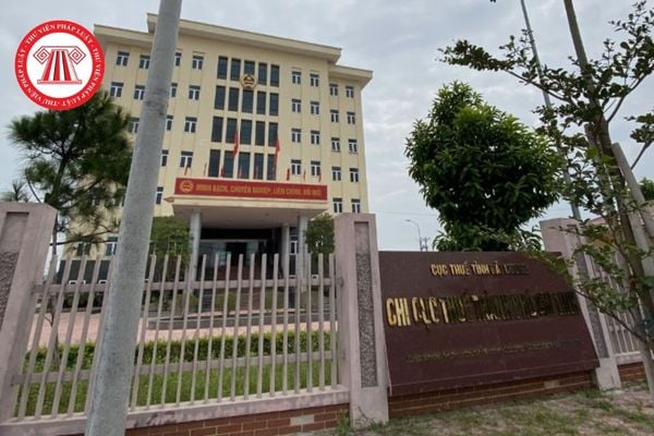 Pháp luật