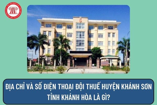 Pháp luật