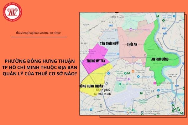 Pháp luật