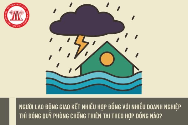 Pháp luật