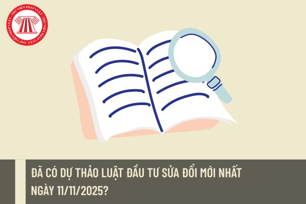 Pháp luật