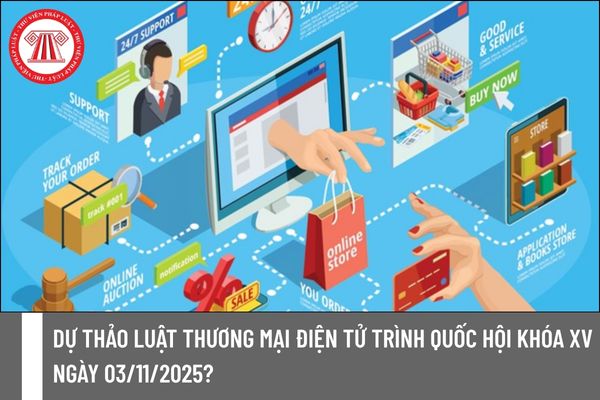 Pháp luật