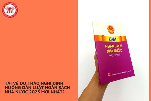 Pháp luật