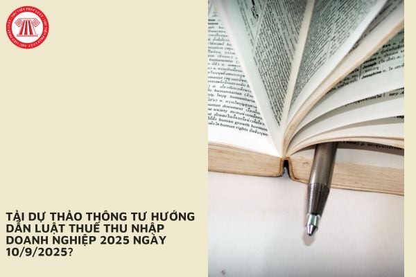 Pháp luật