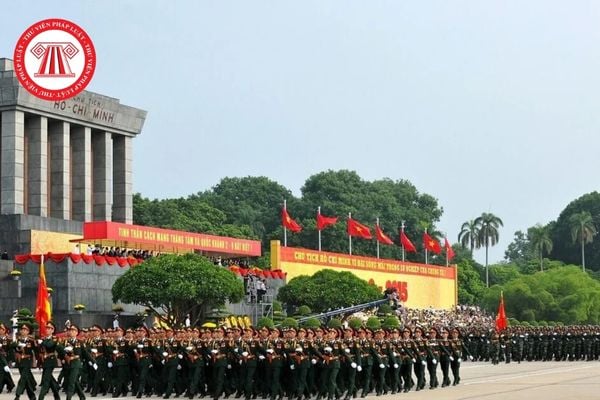 Pháp luật