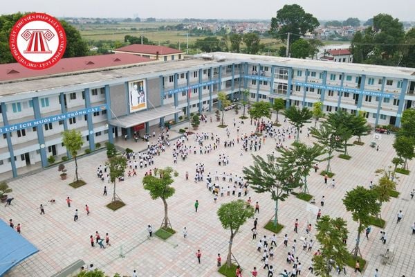 Pháp luật