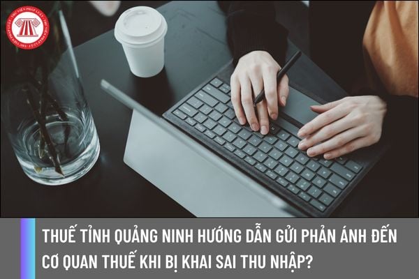 Thuế tỉnh Quảng Ninh hướng dẫn gửi phản ánh đến cơ quan Thuế khi bị khai sai thu nhập?