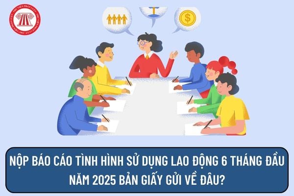 Pháp luật