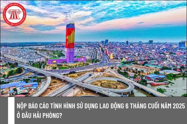 Pháp luật