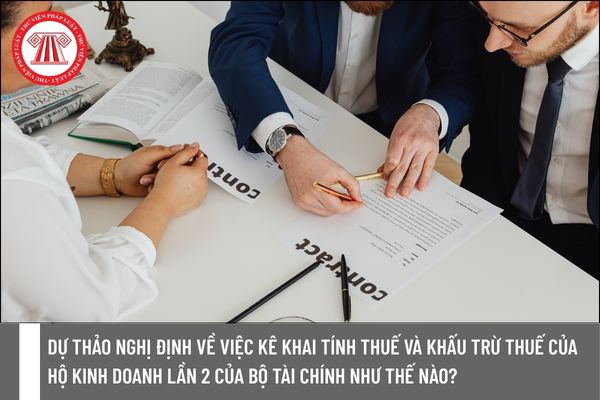 Pháp luật