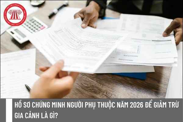 Pháp luật