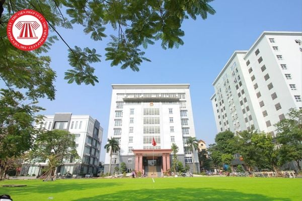 Pháp luật