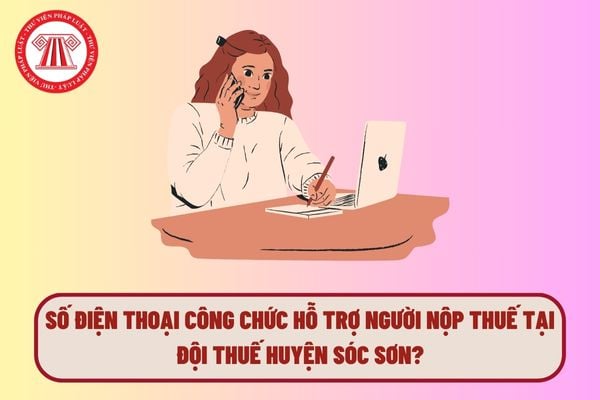 Pháp luật