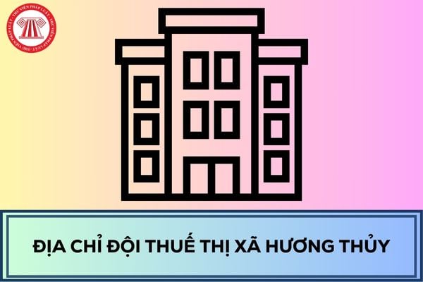 Pháp luật