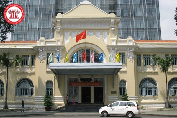 Pháp luật