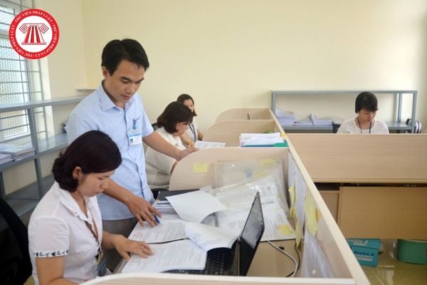 Pháp luật