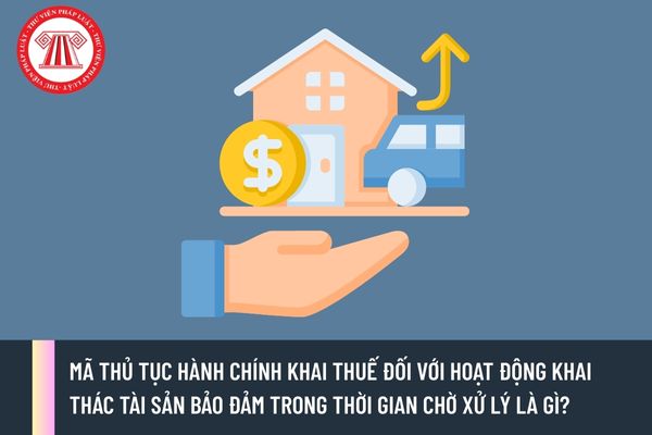 Pháp luật