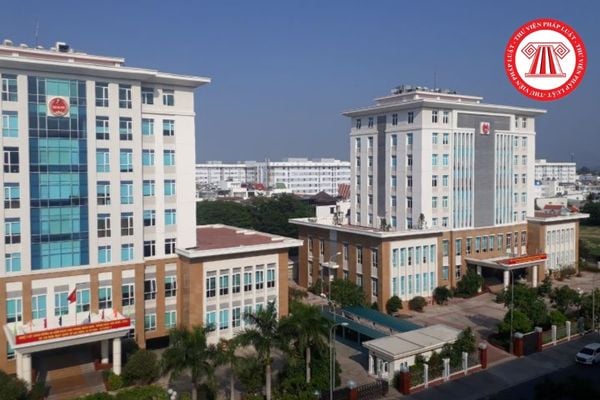 Pháp luật