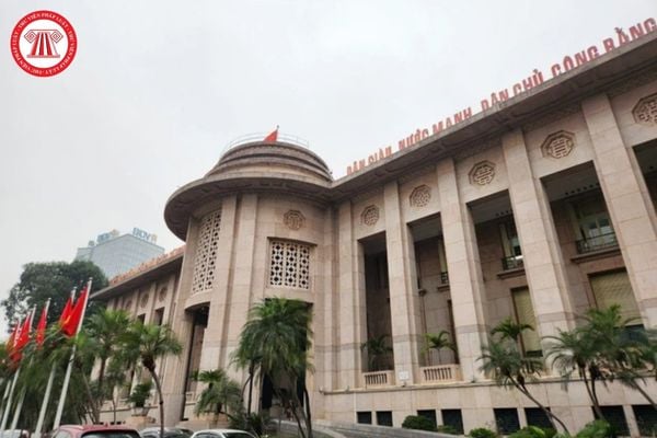 Pháp luật