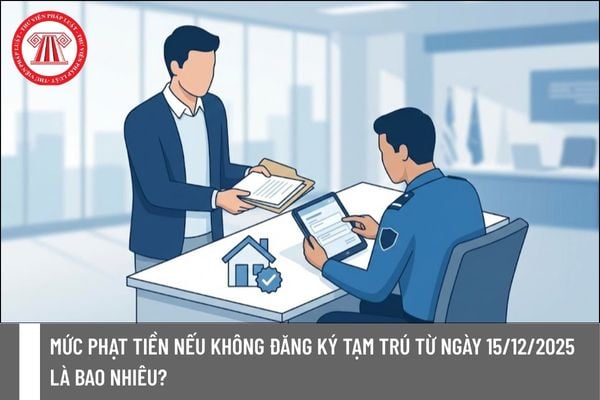 Pháp luật