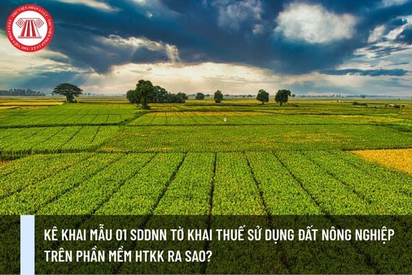 Kê khai Mẫu 01 SDDNN Tờ khai thuế sử dụng đất nông nghiệp trên phần mềm HTKK ra sao?
