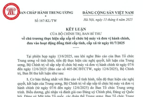 Pháp luật