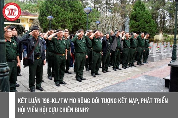 Pháp luật