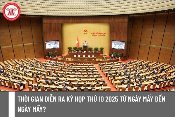 Pháp luật