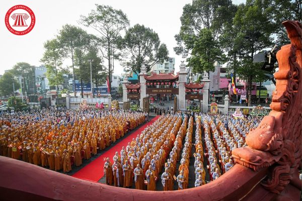 Pháp luật