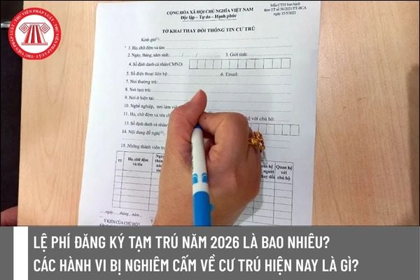 Pháp luật