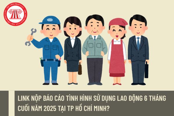 Link nộp báo cáo tình hình sử dụng lao động 6 tháng cuối năm 2025 tại TP Hồ Chí Minh?