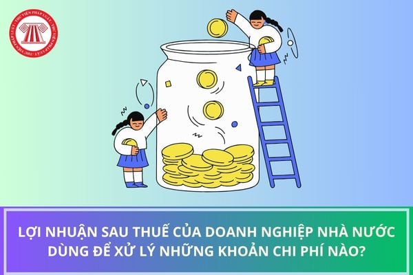 Pháp luật