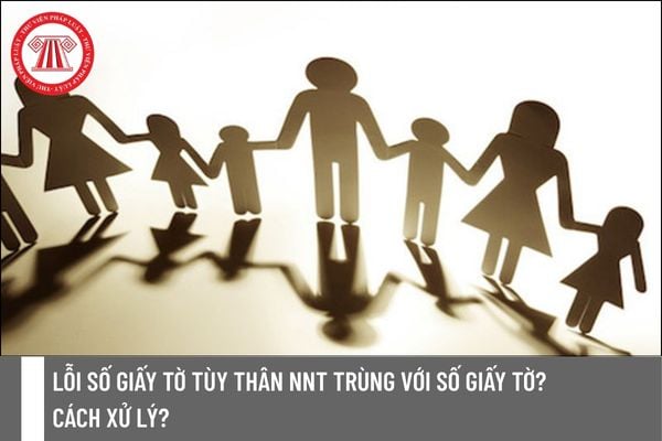 Pháp luật