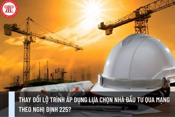 Pháp luật