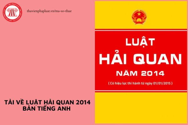 Pháp luật