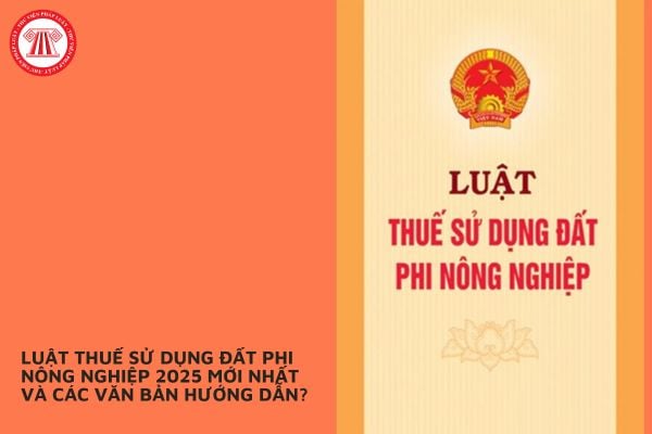 Pháp luật
