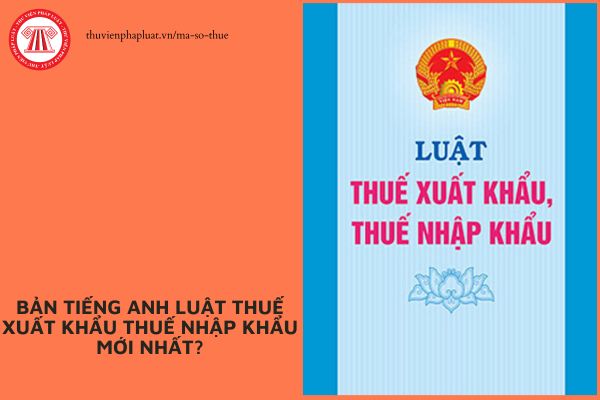 Pháp luật