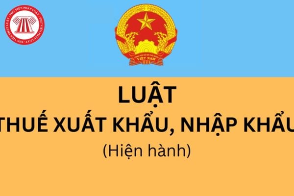 Pháp luật