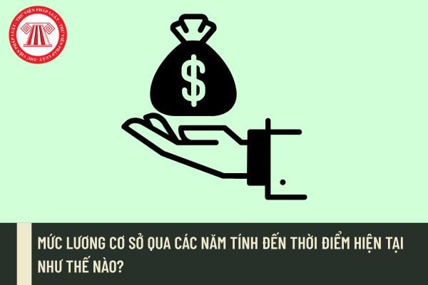 Pháp luật