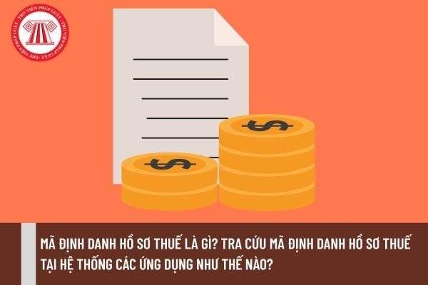 Pháp luật